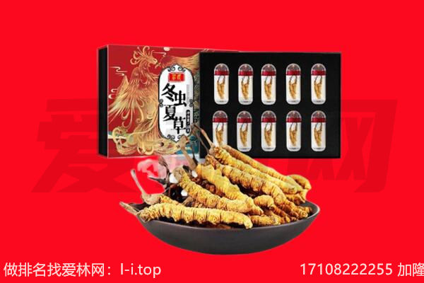 海勃湾区回收虫草.jpg